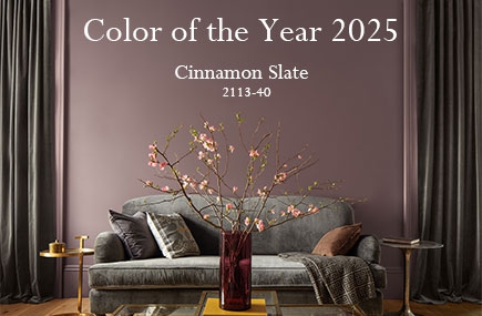 2025 年度色彩 Cinnamon Slate 肉桂灰岩 2113-40