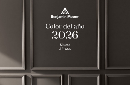 2026 年度色彩 AF-655 Silhouette — 映輝